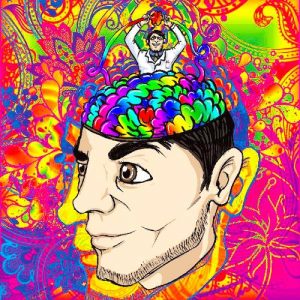 what happens to the mind on DMT